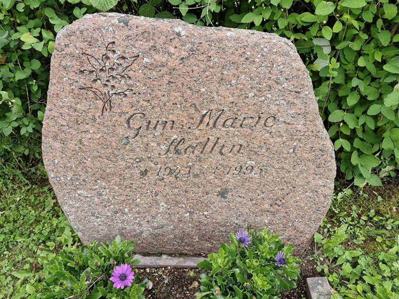 Grave number: AK D  6446