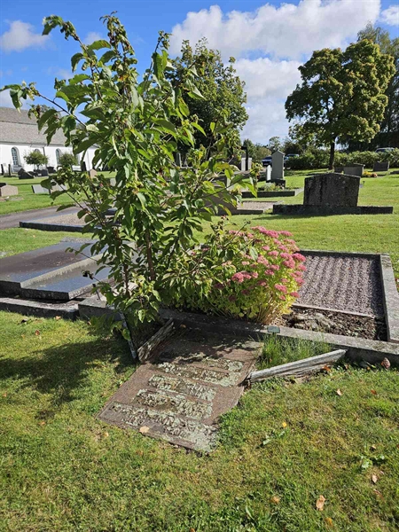 Hautatunnus: Fr 6   229-230