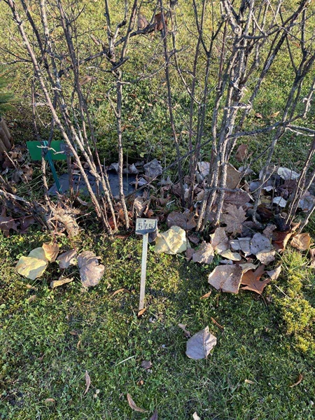 Gravnummer: GK A 3   575