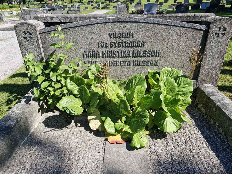 Grave number: 1 HOPP 32A
