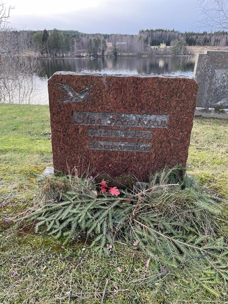 Hautatunnus: Vårv Kv1    24