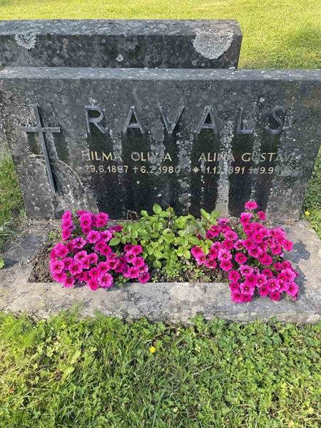 Hautatunnus: N 5 2   178a