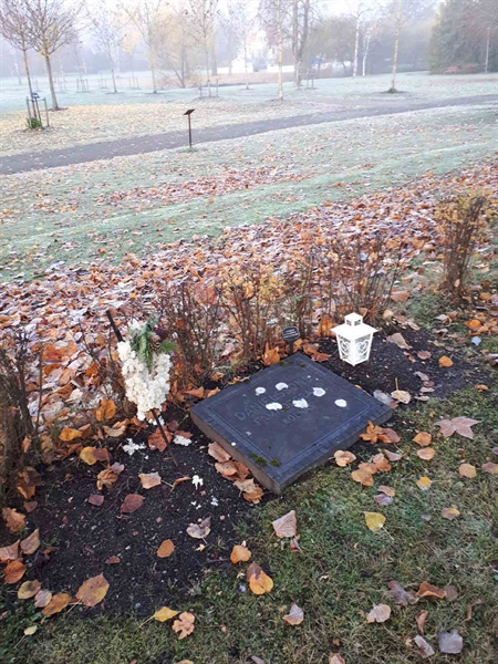 Gravnummer: GK F 3   170