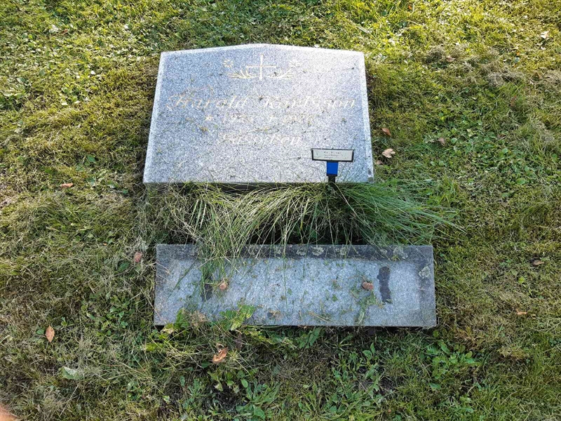 Gravnummer: Fr 7   141