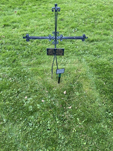 Hautatunnus: 2 C   240-241