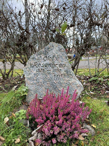 Grave number: 1 29     13