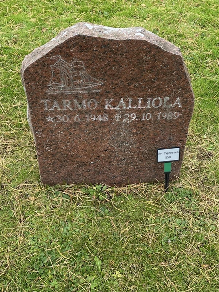 Hautatunnus: 2 C   558