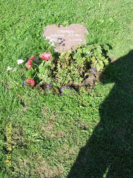 Grave number: F 04   297