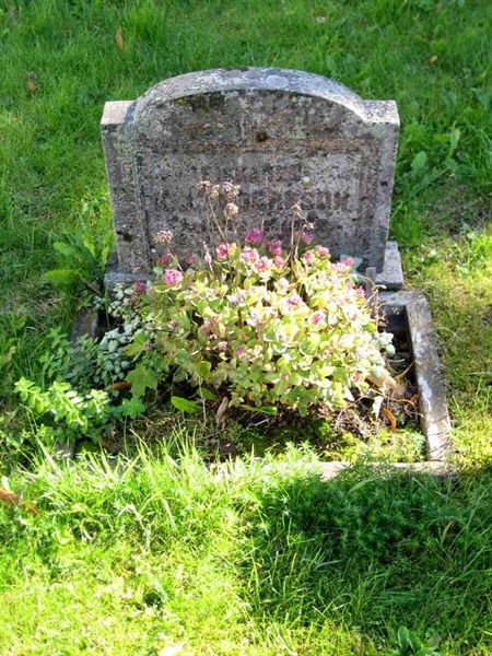 Grave number: T C     8
