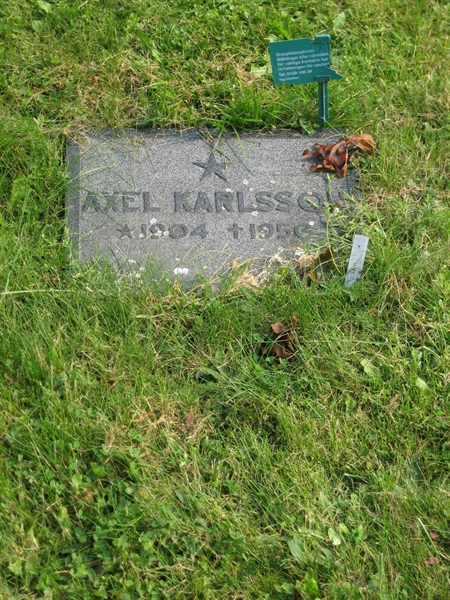Grave number: K   241