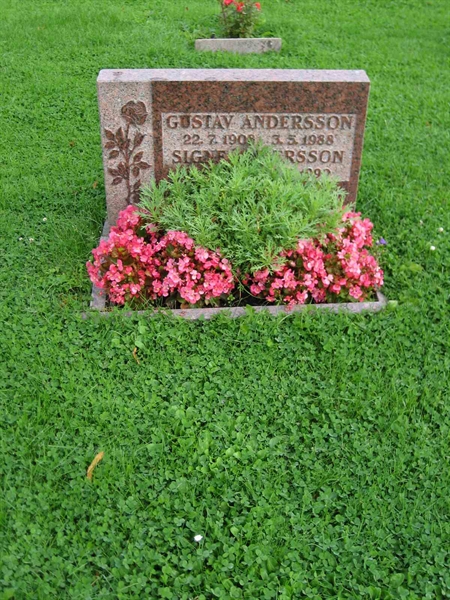 Grave number: F 10    24