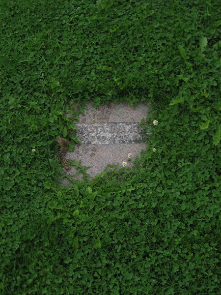 Grave number: F 10   154