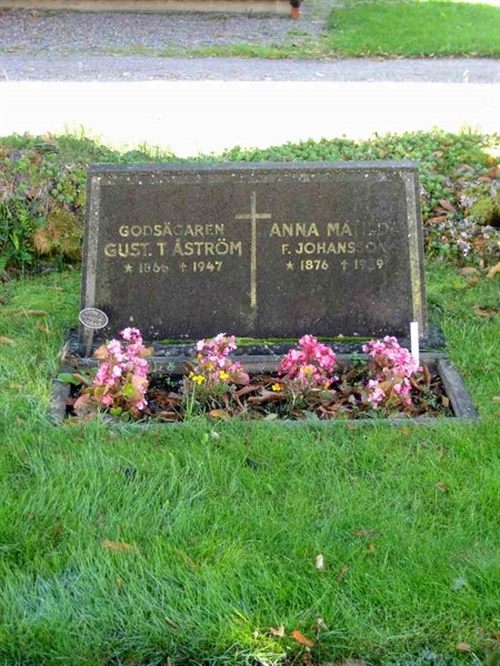 Grave number: T C    56-57
