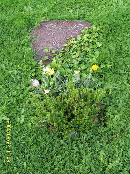 Grave number: F 07   101