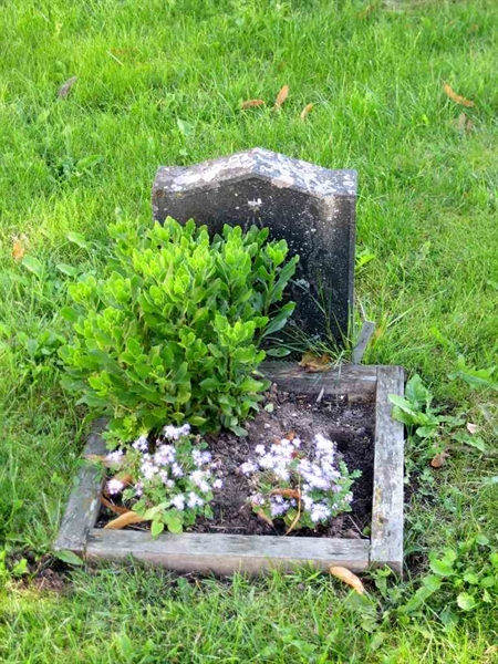 Grave number: T C    34
