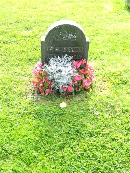 Grave number: F 17     9