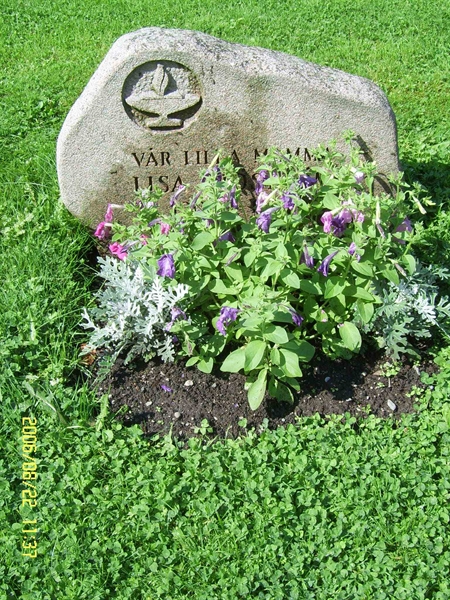 Grave number: F 07    50