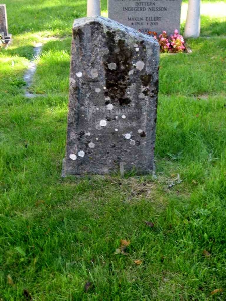 Grave number: T C     4