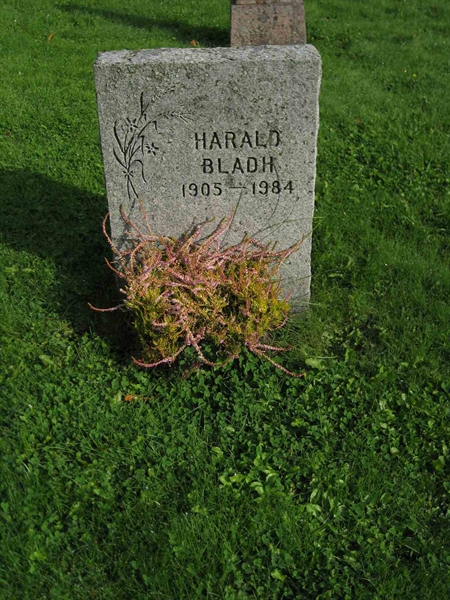 Grave number: F 10    46