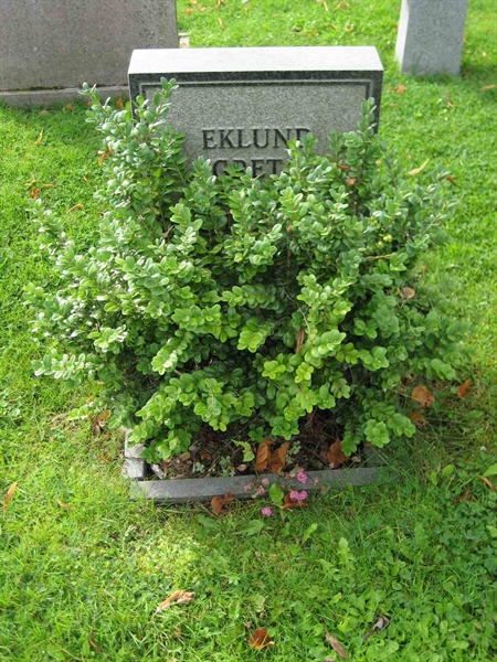 Grave number: F 13    22
