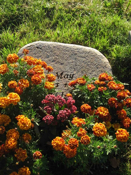 Grave number: F 19    41