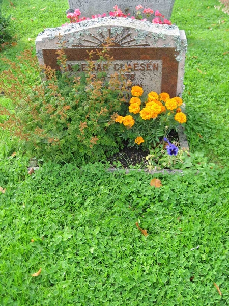 Grave number: F 13    32