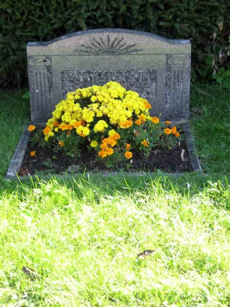 Grave number: T E    29-30