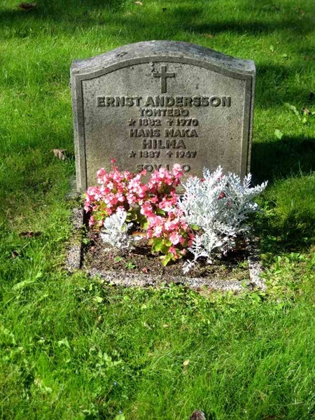 Grave number: T F    31-32
