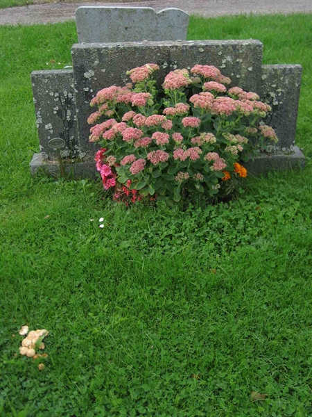 Grave number: F 10   116-117