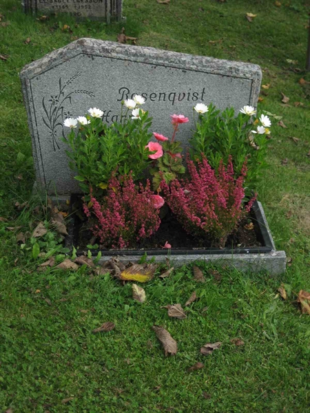 Grave number: K    96