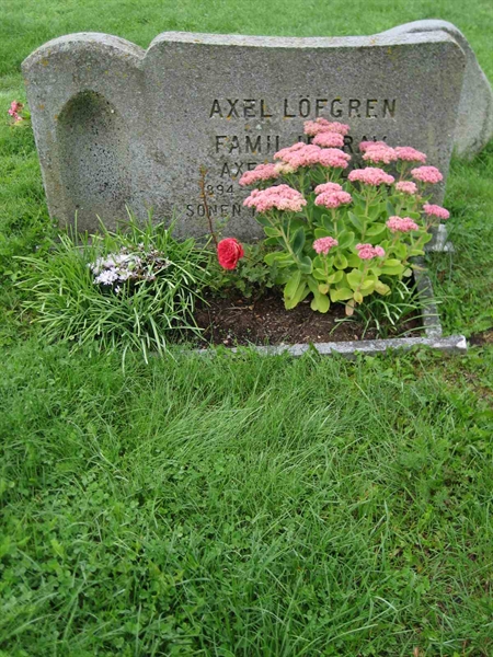 Grave number: F 08    77-78
