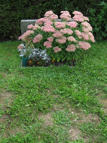 Grave number: F 08    27-28