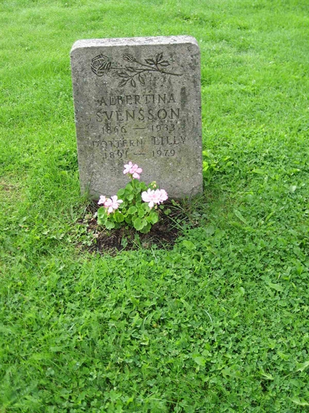 Grave number: F 10   245-246