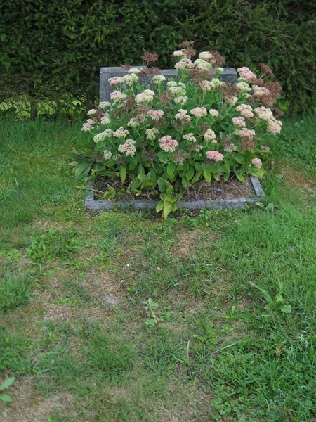 Grave number: F 08    21-22