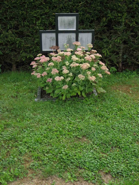 Grave number: F 08    29-30
