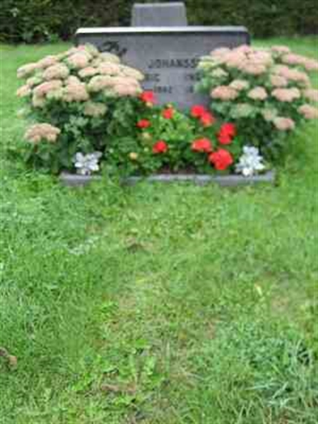 Grave number: F 08    49-50
