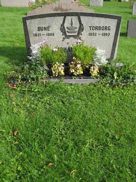 Grave number: F 10    41-42