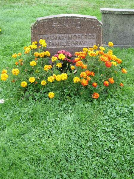 Grave number: F 08   140-141