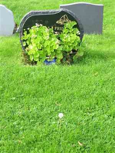 Grave number: F 16   126-127