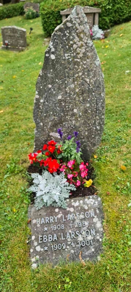 Grave number: M V  125, 126, 127, 128, 129