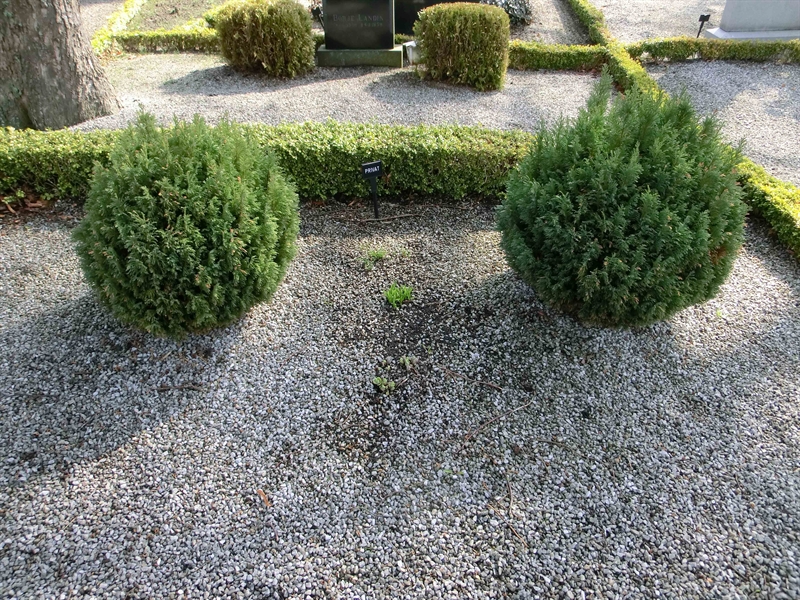 Grave number: SÅ 098:02