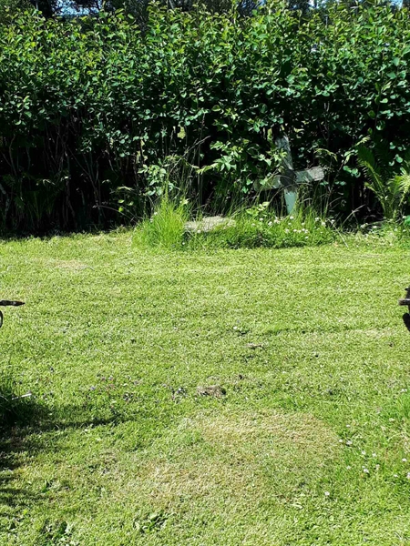 Hautatunnus: GK A 5   151V