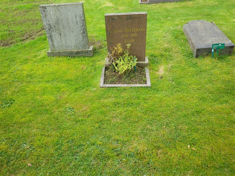Grave number: VI J   132