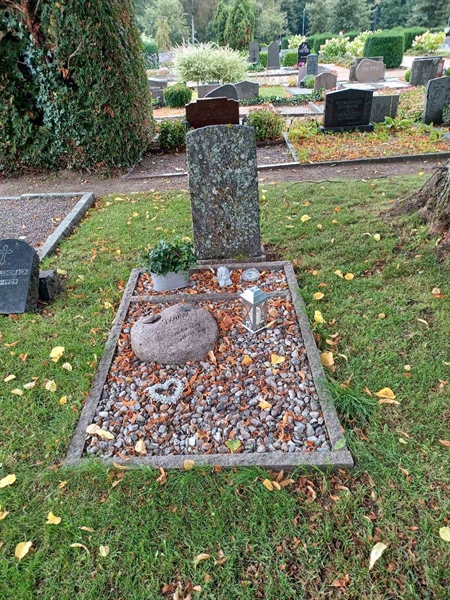 Grave number: OS D    35