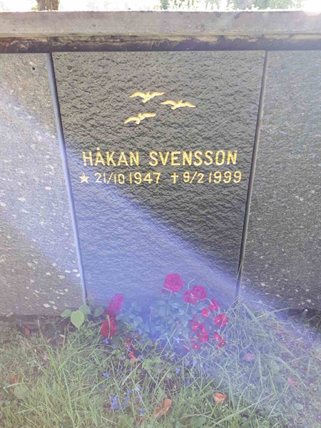 Hautatunnus: GK U 4   404