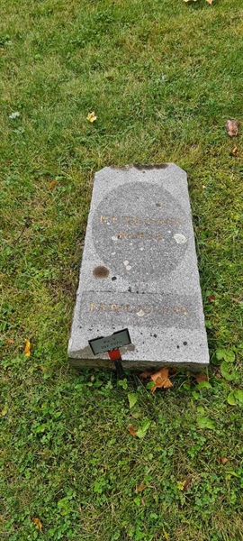 Grave number: M V  197, 197A