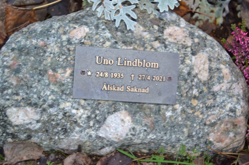 Grave number: 3 FU   104
