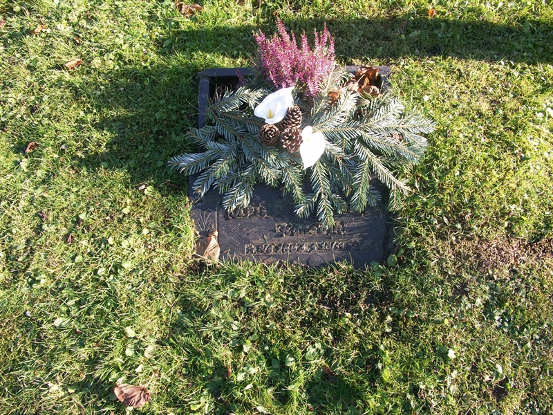 Grave number: FÖ FÖ 1006