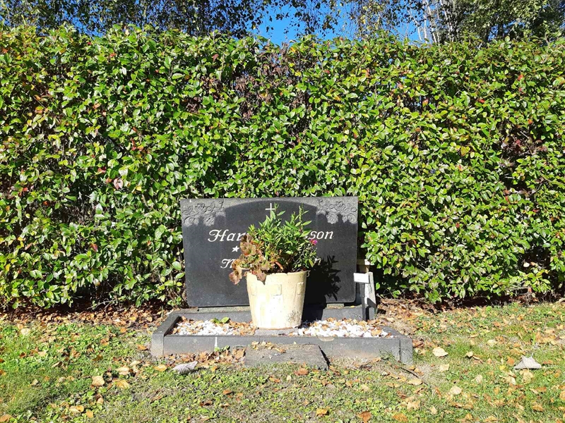 Grave number: Fr 7    79-80