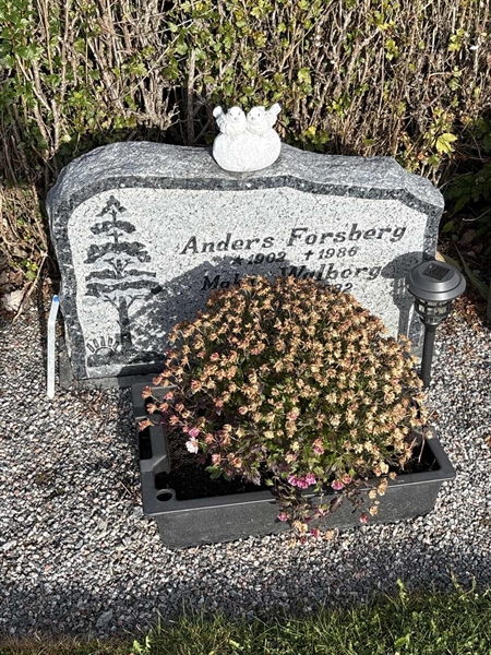 Grave number: 4 N ND    78